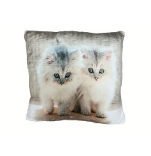 Szigetelt párna Macskák 40x40 cm