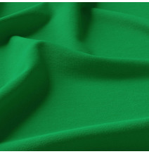 Függöny a gyűrűk cirkóniával 140x250 cm zöld