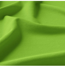 Függöny a gyűrűk cirkóniával 140x250 cm világos zöld