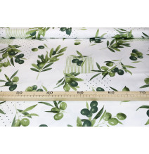 Pamut terítő olajbogyó