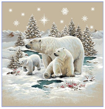 Zsenília karácsonyi kárpitos terítő 1245