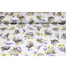 Nyuszi asztali futó