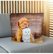 Szigetelt párna Kis kutya és cica 40x40 cm